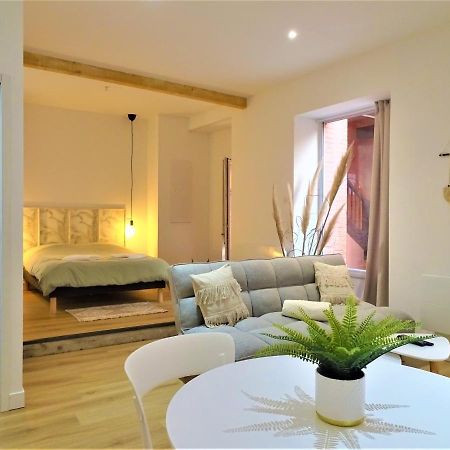 Sublime Cocon Pour 2 Aux Portes De La Place Nationale - Proximite Immediate Toutes Commodites Et Sites D'Interets Appartement Montauban Buitenkant foto