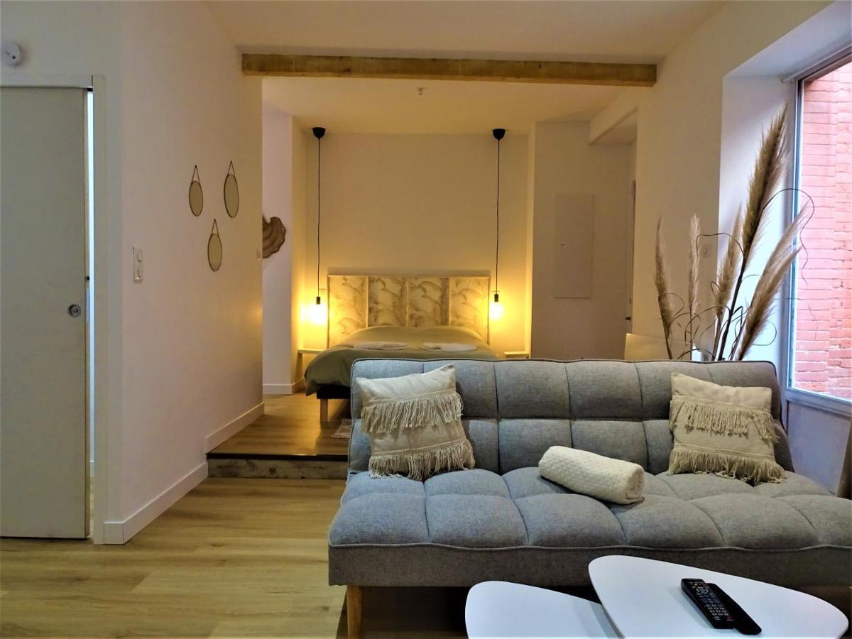 Sublime Cocon Pour 2 Aux Portes De La Place Nationale - Proximite Immediate Toutes Commodites Et Sites D'Interets Appartement Montauban Buitenkant foto